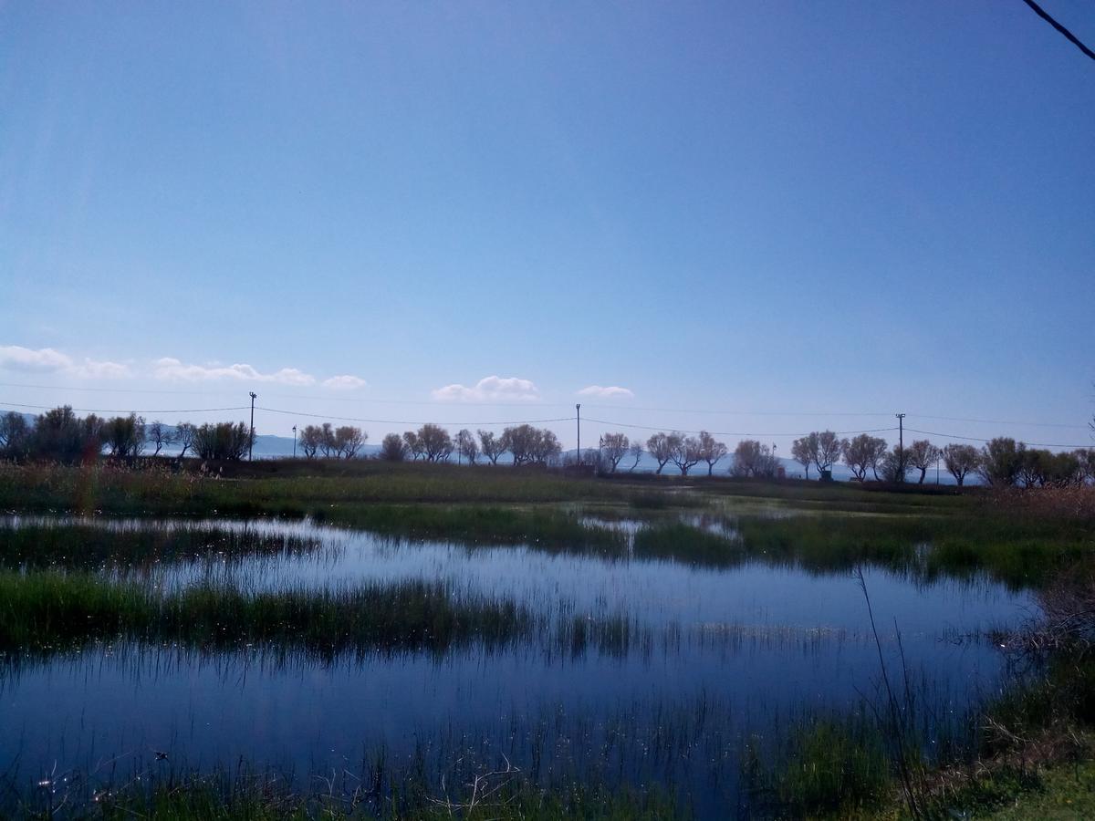 Diamanti Studios Skala Kallonis Buitenkant foto